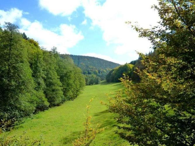 Apartment In The Odenwald With Terrace Mossautal Exterior foto